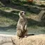 ｴﾋﾞﾁｬﾝのプロフィール画像