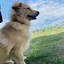 しょーたのプロフィール画像