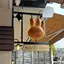 Mのプロフィール画像