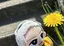 はるのプロフィール画像