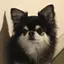 りなのプロフィール画像