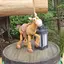 みのプロフィール画像