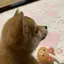 erikoのプロフィール画像