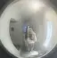 ピロたまのプロフィール画像