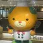 ちゃんのプロフィール画像