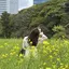 萌花のプロフィール画像