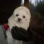みのプロフィール画像
