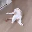 kikiのプロフィール画像