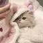 ^._.^のプロフィール画像