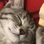 あらちゃんのプロフィール画像