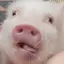しゅりのプロフィール画像