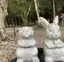SURのプロフィール画像