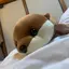 ちびのプロフィール画像