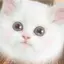 ほのかのプロフィール画像