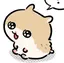 こゆきのプロフィール画像