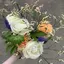 わんこのプロフィール画像