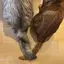 みーのプロフィール画像