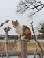あつひとのプロフィール画像
