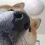 ものプロフィール画像