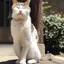 はづきのプロフィール画像