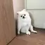 友哉のプロフィール画像
