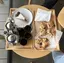 cocoのプロフィール画像