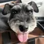 しおりのプロフィール画像