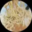 にーむらのプロフィール画像