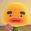 ずっぴーのプロフィール画像