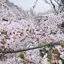 ミンハンのプロフィール画像