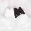𝑆のプロフィール画像