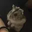 ゆーすけのプロフィール画像