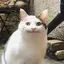 ぴんりのプロフィール画像