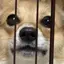 ケイのプロフィール画像