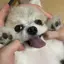 せなのプロフィール画像