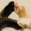 ともちんのプロフィール画像