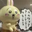 ザップのプロフィール画像