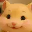 ひまわりの種のプロフィール画像