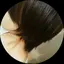 サヤカのプロフィール画像
