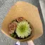 ナノのプロフィール画像