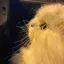 Niniのプロフィール画像