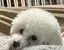 ふらんのプロフィール画像