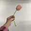 𝓜のプロフィール画像