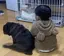 みゆきのプロフィール画像