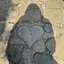 モネのプロフィール画像