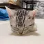 雛のプロフィール画像
