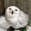 とものプロフィール画像