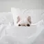 Lのプロフィール画像