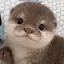 nanaのプロフィール画像