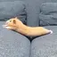 manaのプロフィール画像